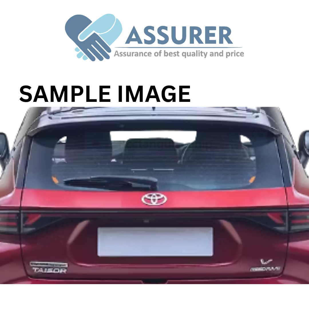 TOYOTA TAISOR BACK DOOR ASSEMBLY 67005WC021