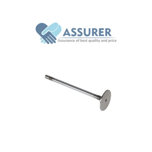 Inlet Valve Varroc-320/03520
