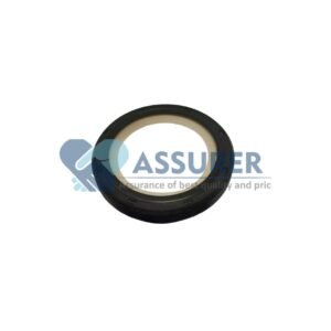 Oil Seal FRONT BSIV-0311DAZ00061N