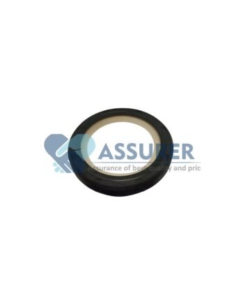 Oil Seal FRONT BSIV-0311DAZ00061N