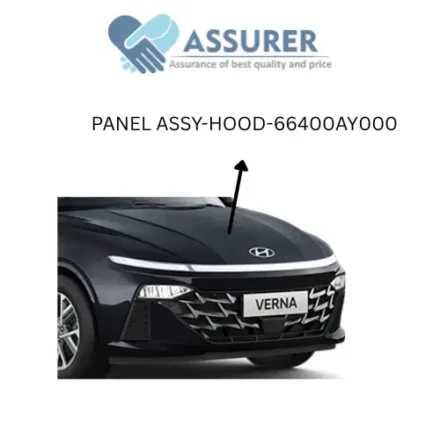Panel Assy-Hood-66400AY000