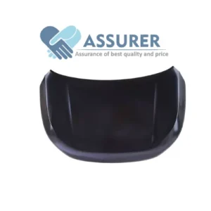 Panel Assy-Hood-66400Q6000