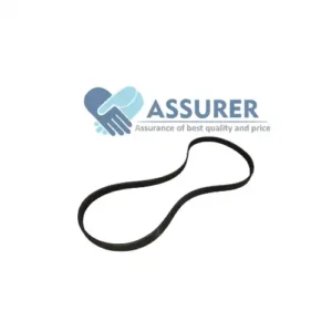 RIBBED BELT-V-2521203050