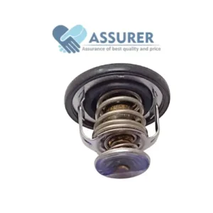 Thermostat Water-17670-77E11