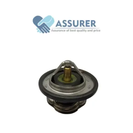 Thermostat Water-17670M55K00