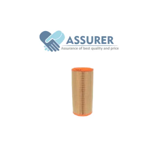 Air Filter Primary Element-550/41639